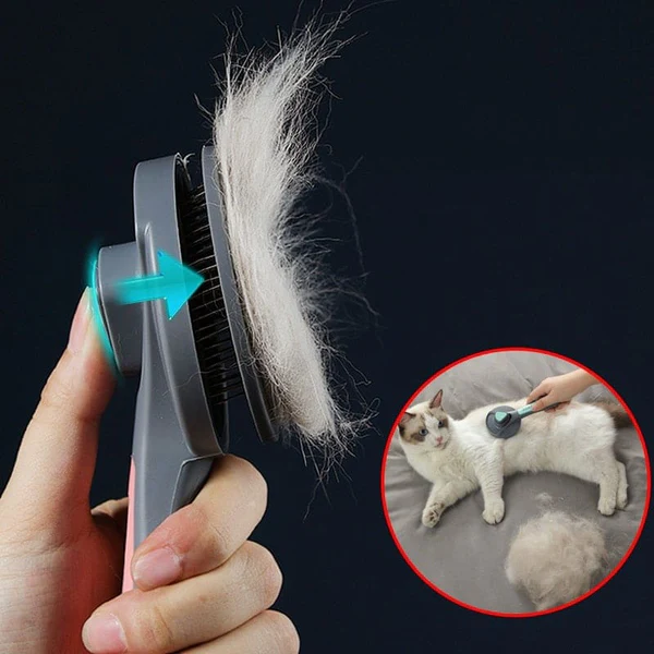 Escova para Gatos + Whiskas (Brinde)!